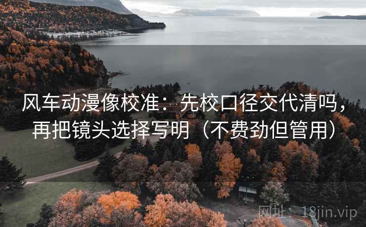 风车动漫像校准：先校口径交代清吗，再把镜头选择写明（不费劲但管用）