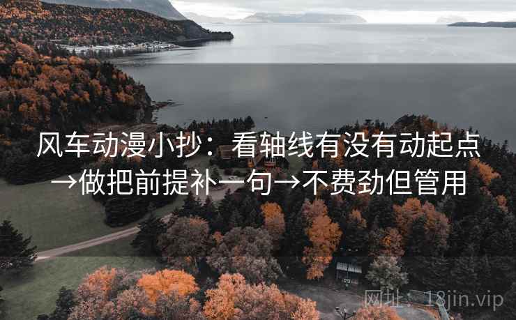 风车动漫小抄：看轴线有没有动起点→做把前提补一句→不费劲但管用