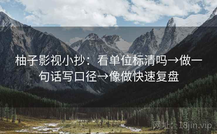 柚子影视小抄：看单位标清吗→做一句话写口径→像做快速复盘  第2张