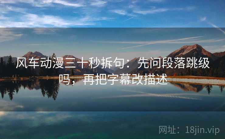 风车动漫三十秒拆句：先问段落跳级吗，再把字幕改描述  第2张